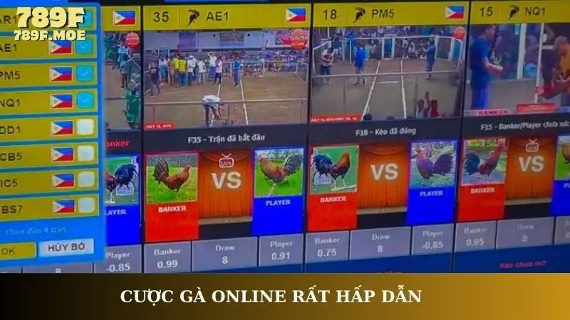 Cược gà online rất hấp dẫn