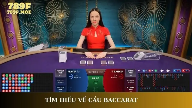 Tìm hiểu về cầu Baccarat