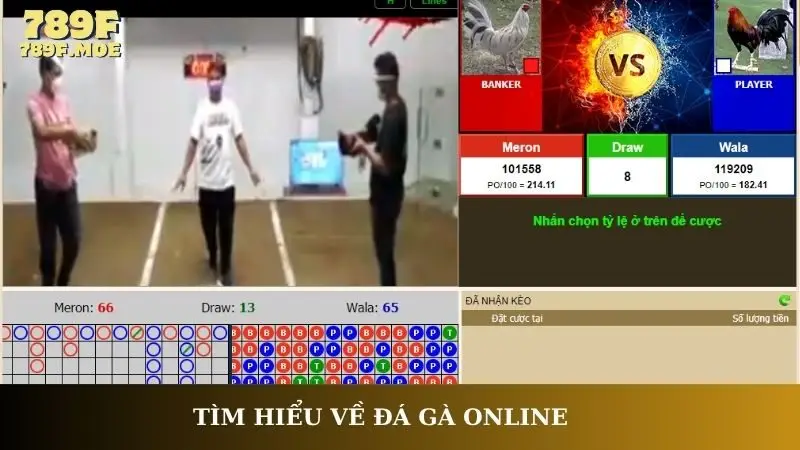 Tìm hiểu về đá gà online